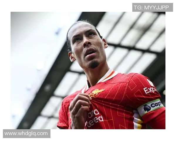 数据揭示:范戴克本赛季表现起伏不定 数据揭示:范戴克本赛季表现起伏不定