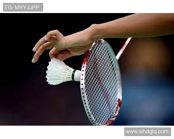 羽毛球赛事战术创新及运动员适应性 羽毛球赛事战术创新及运动员适应性