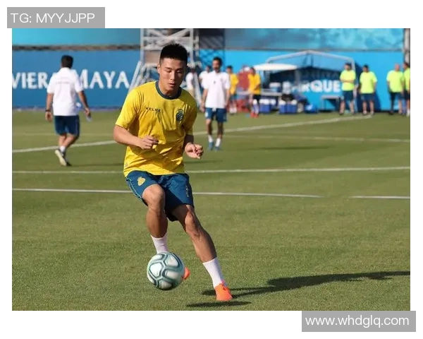 数据模型解析武磊未来胜率预测及其影响因素分析 数据模型解析武磊未来胜率预测及其影响因素分析